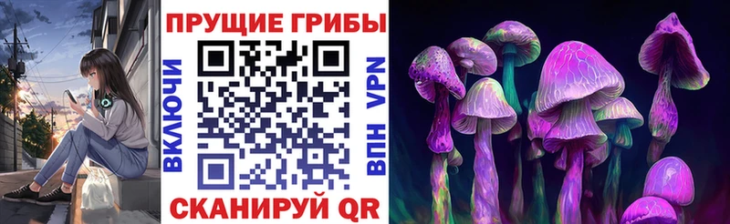 где можно купить наркотик блэк спрут вход Псилоцибиновые грибы Magic Shrooms Полевской